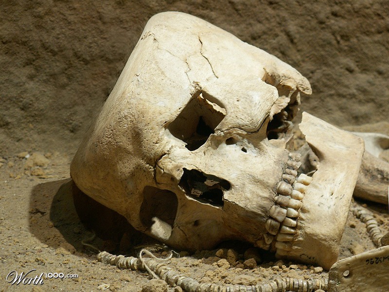 Square Skull