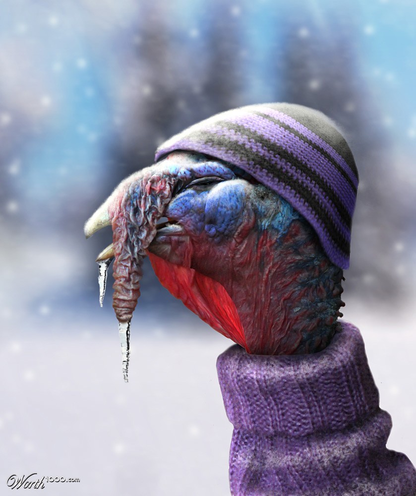 Cold turkey