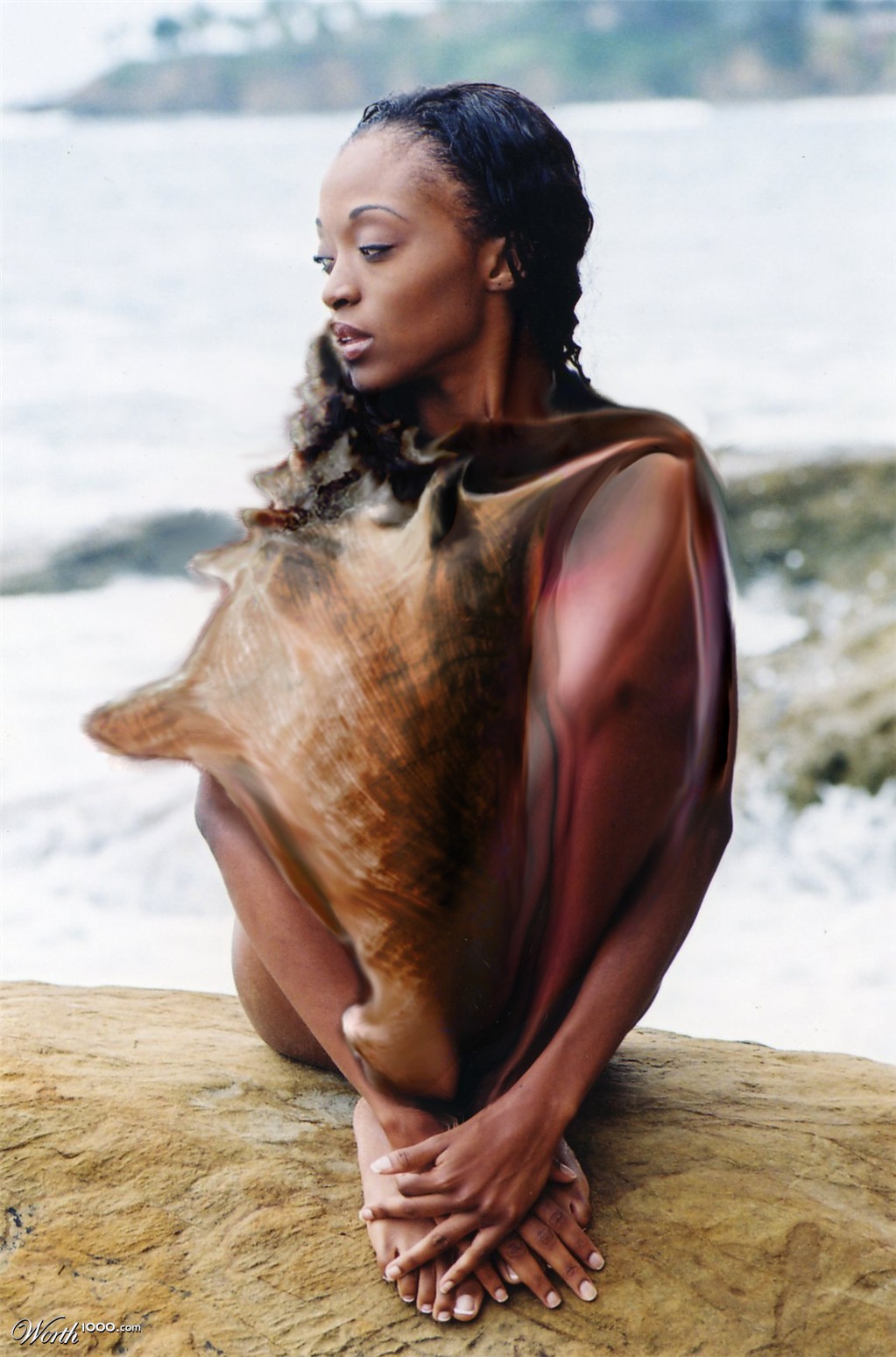 Shesells Seashells
