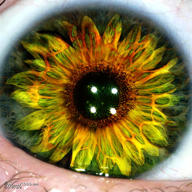 Flower Shaped Eye