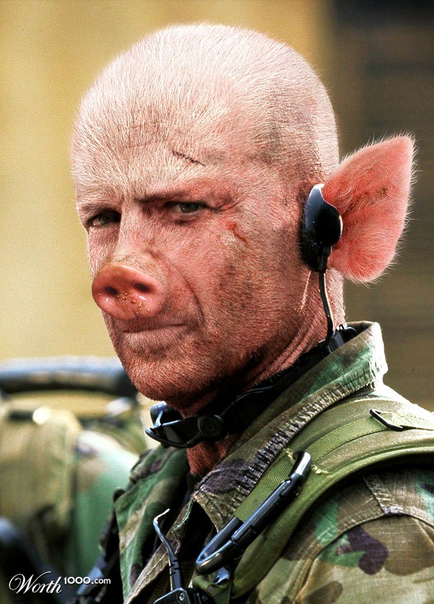bruce piggis