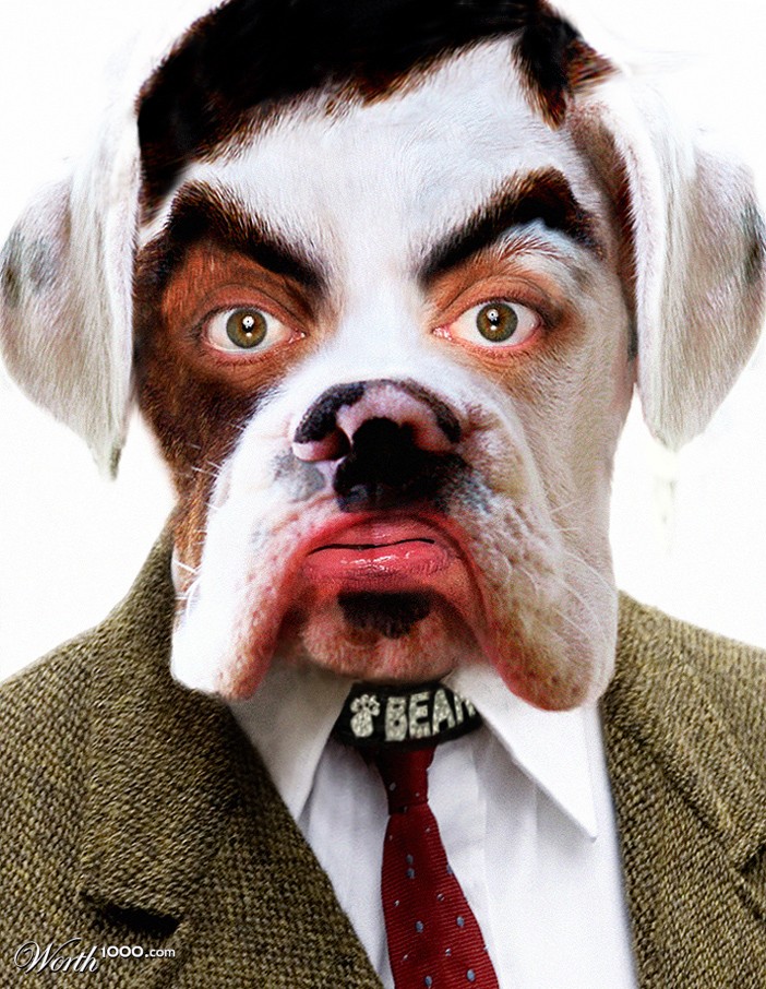 ...that mean english bulldog mister,I saw there!