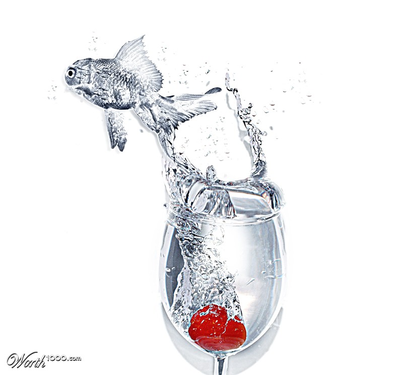 liquid fish