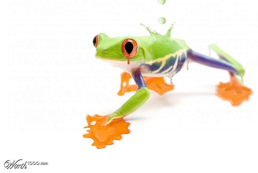 Syrup frog
