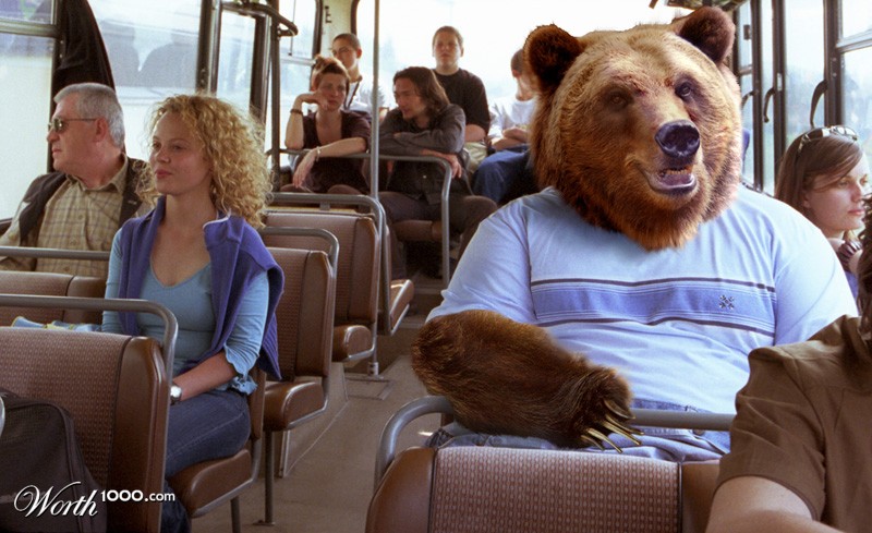 bus bear