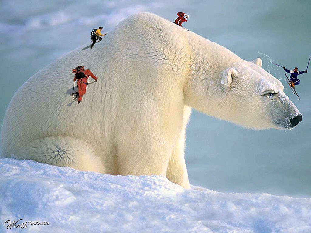 Winter sport