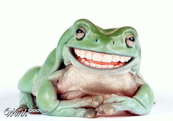 Cheshire frog