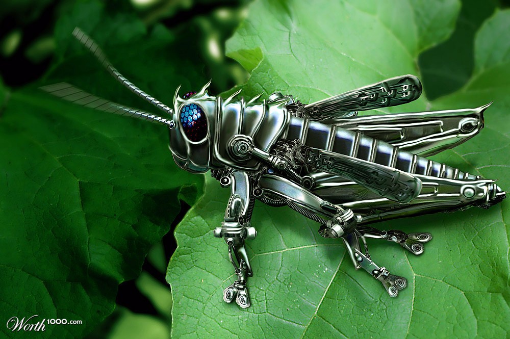 cyberpet 3: mechahopper