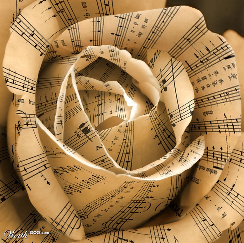Paper Petals