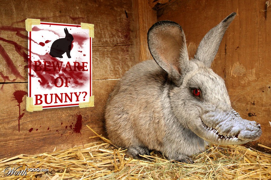 Beware of Bunny??