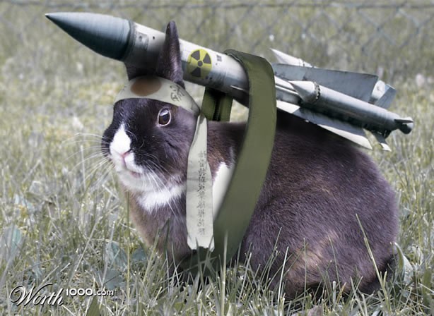 Bunny