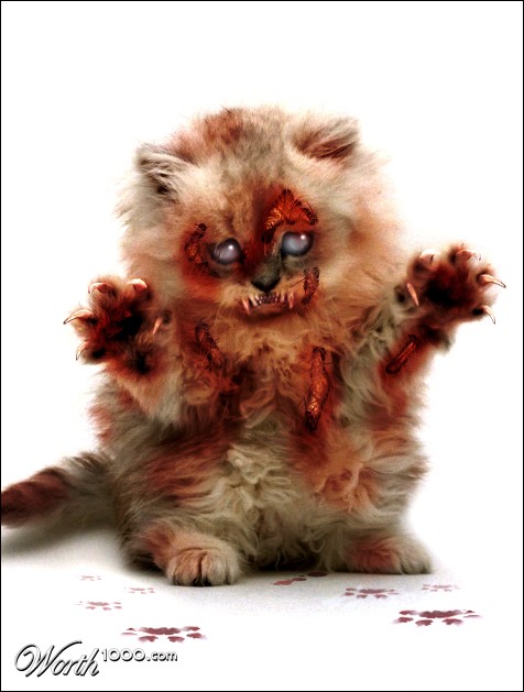 Zombie Kitty