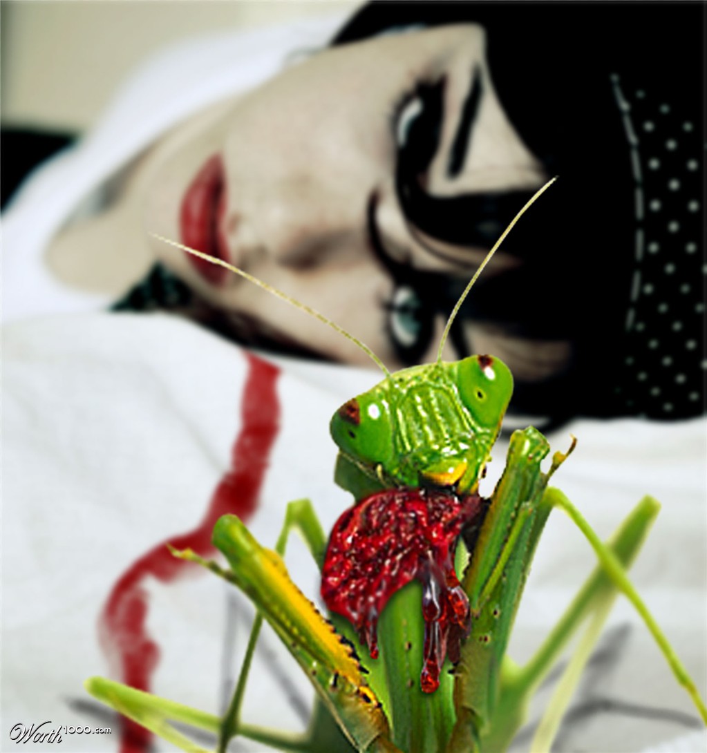 Deadly Mantis