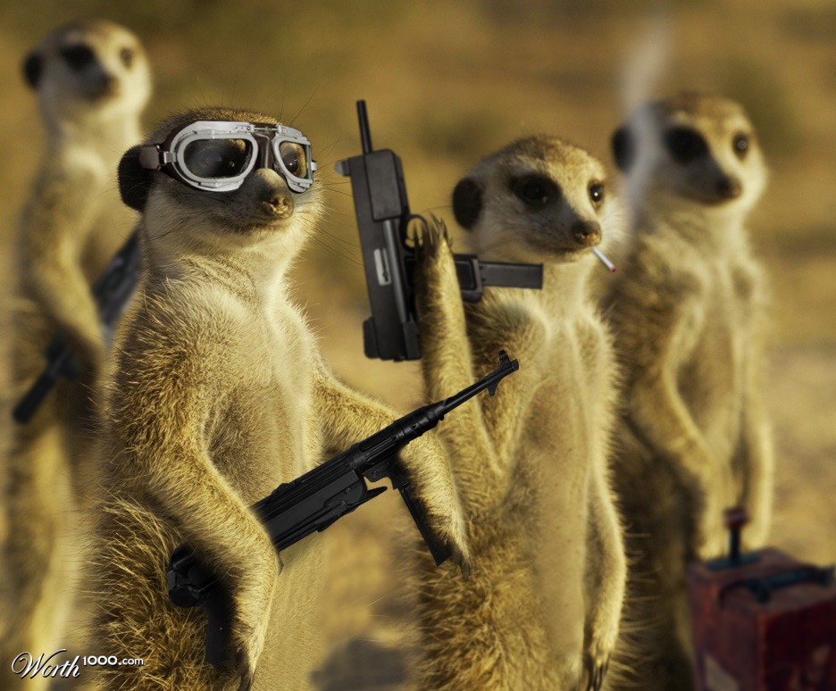 Meerkat Mafia