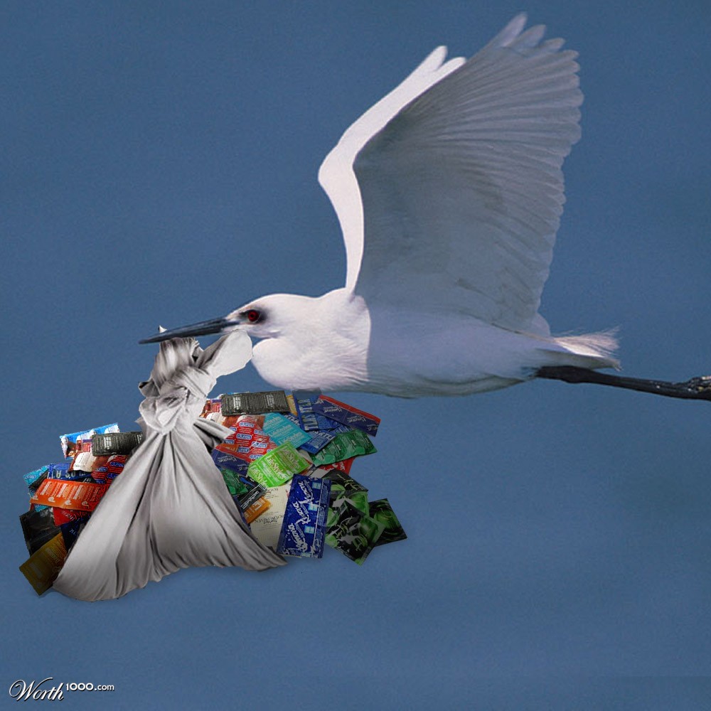 Profalactic Stork
