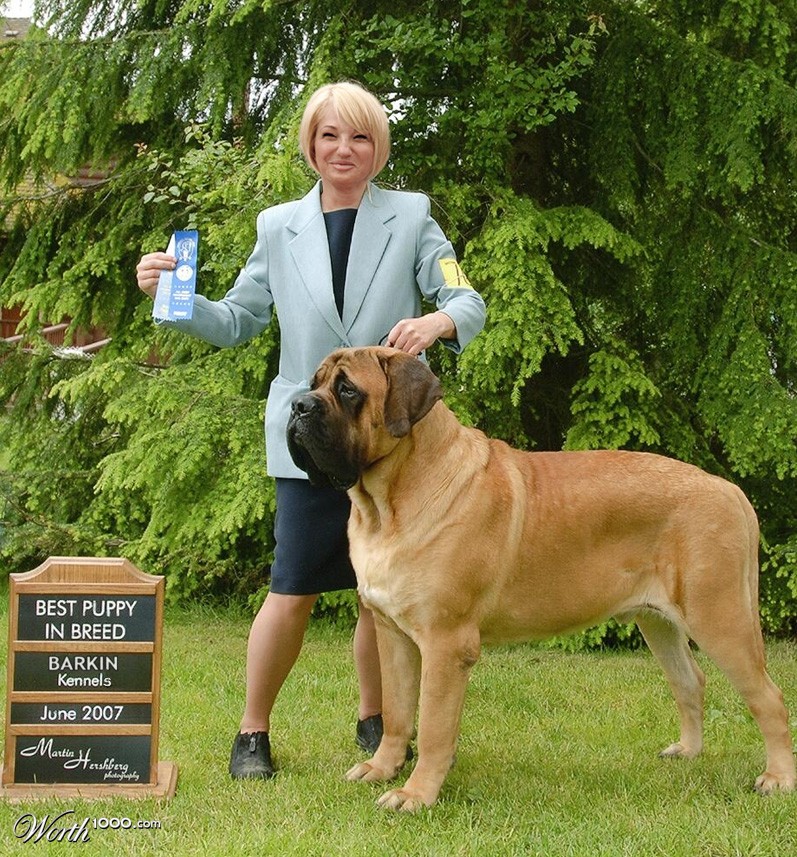 Barkin Kennels