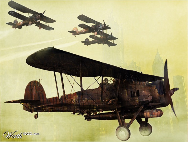 Old Fly
