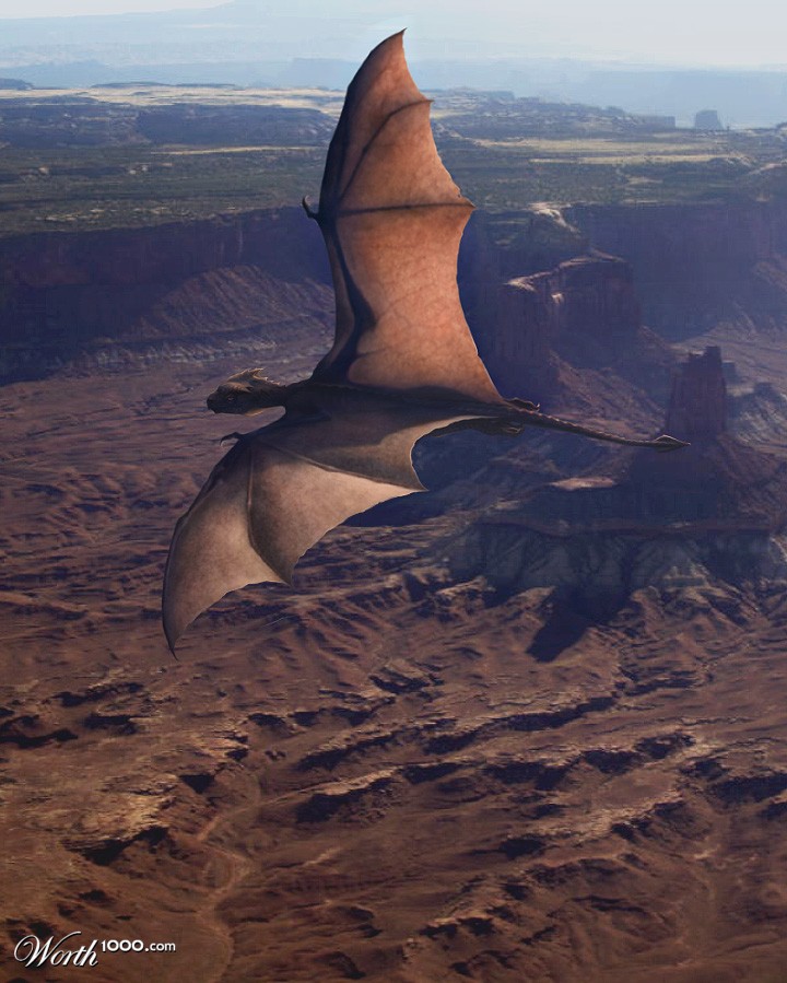 Soar