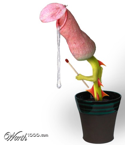 Plant