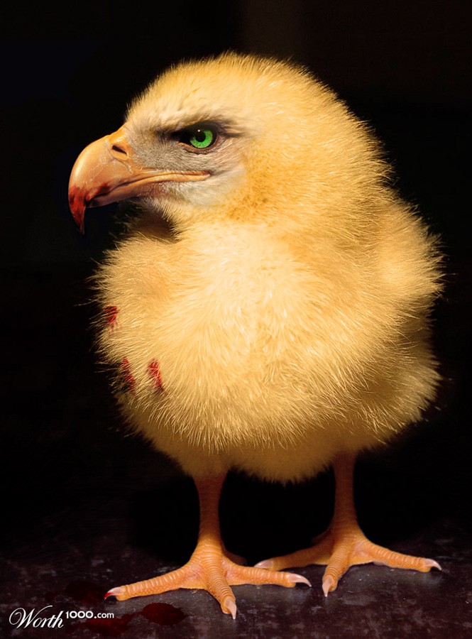 Murder chick 2nd