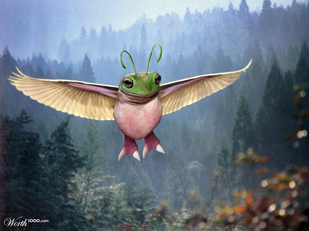 Frog Flight