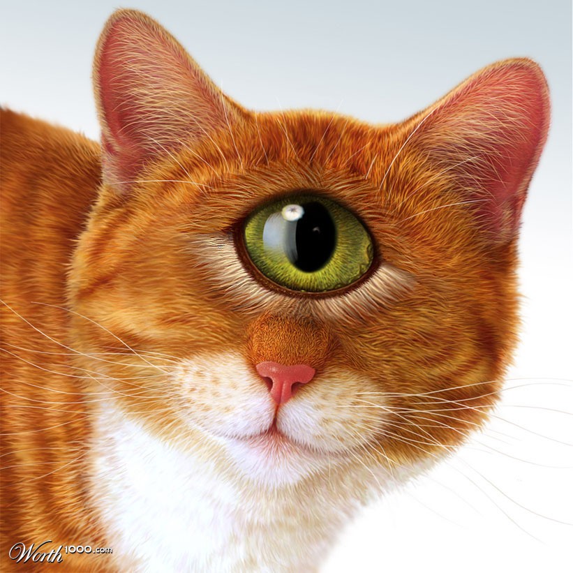 Cat eye