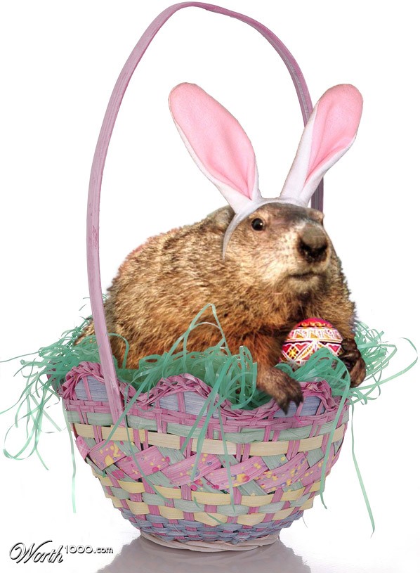 Groundhog Day?