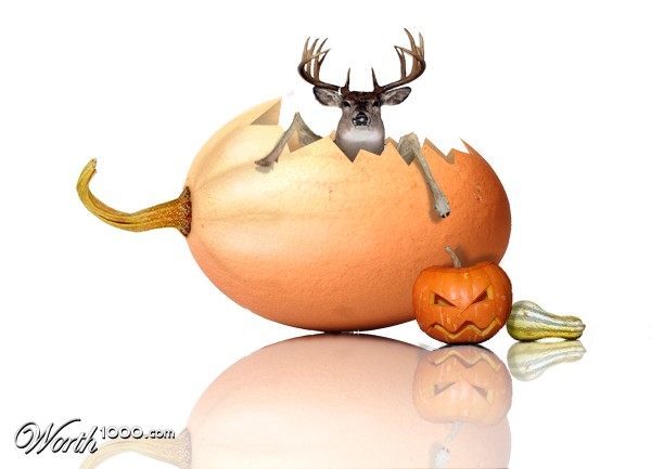 Egg