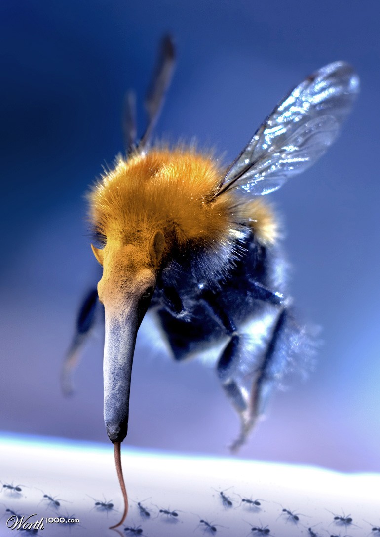 AntBeeter