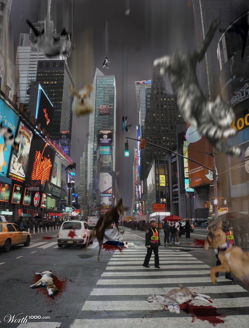 It's raining cats and dogs