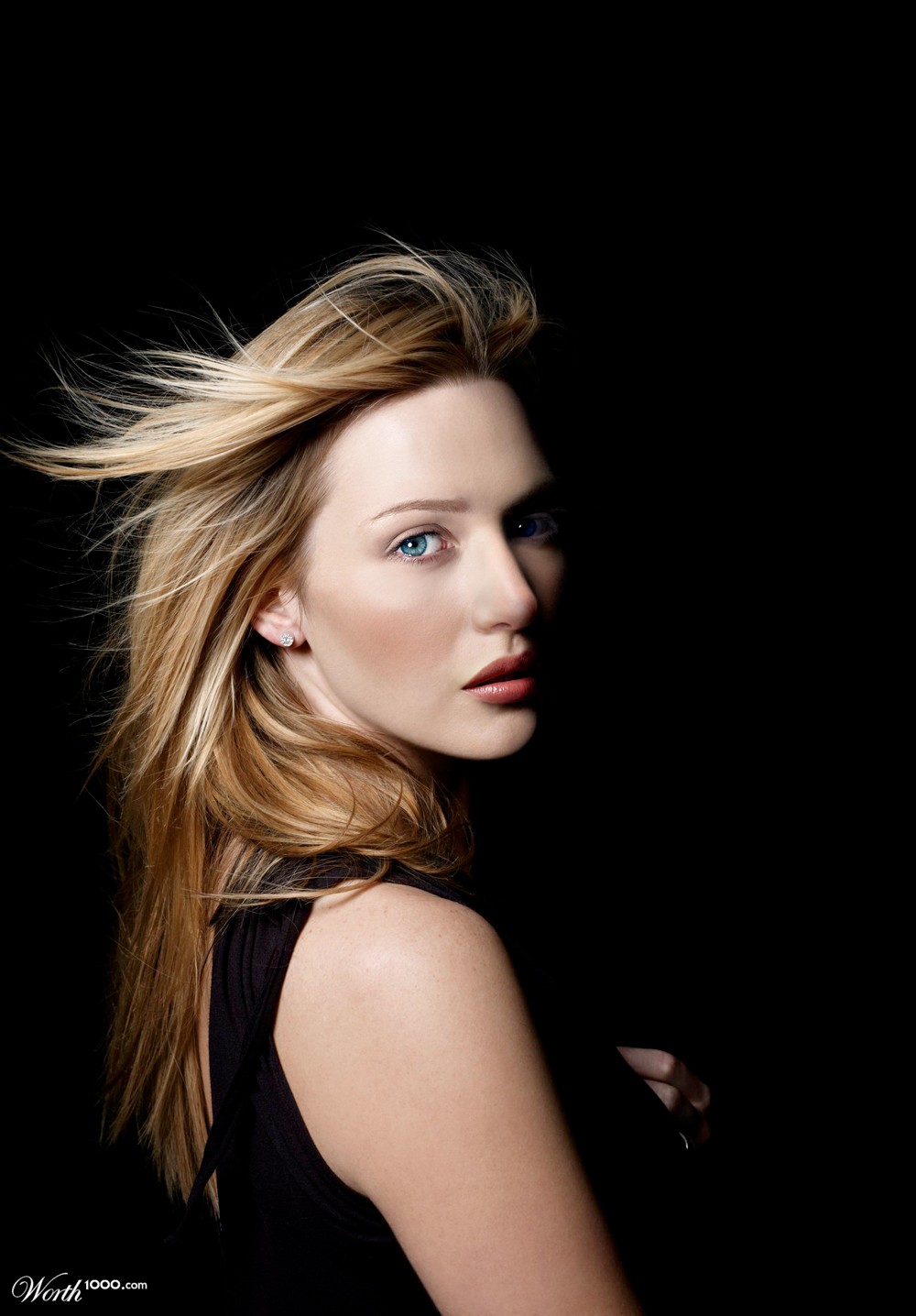 Perfect Celebrity