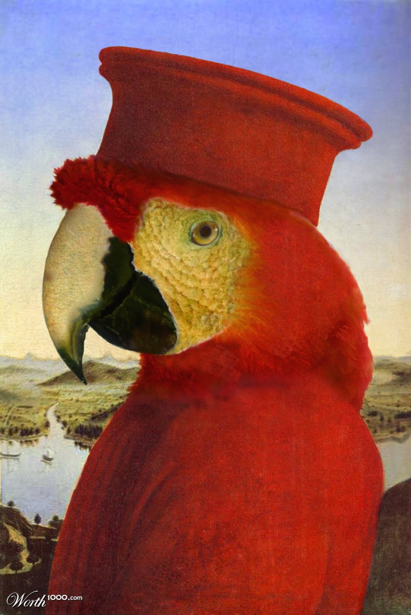 Polly of Urbino