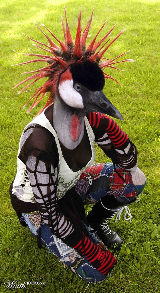 Punk Bird