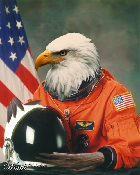 Bird Astronaut