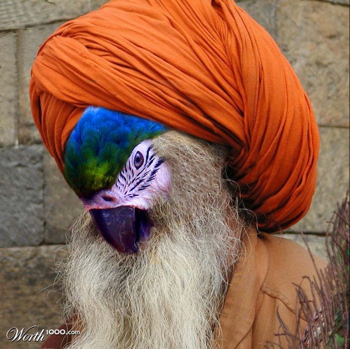 Maharishi Macaw