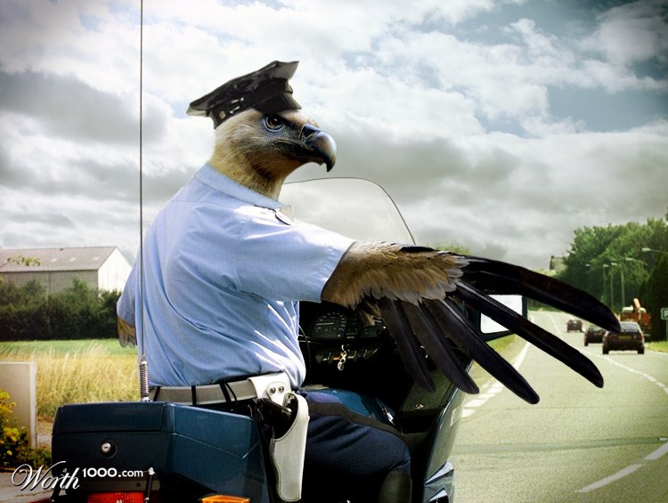 Prey Patrol
