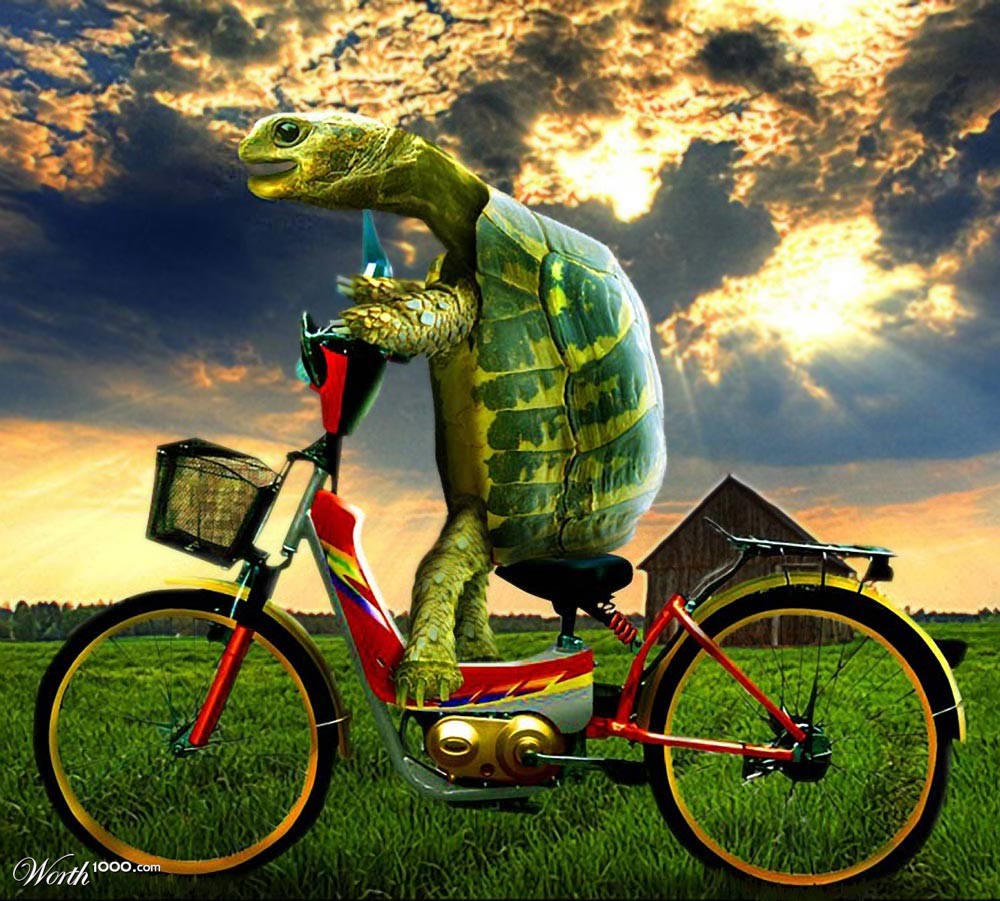 Speed