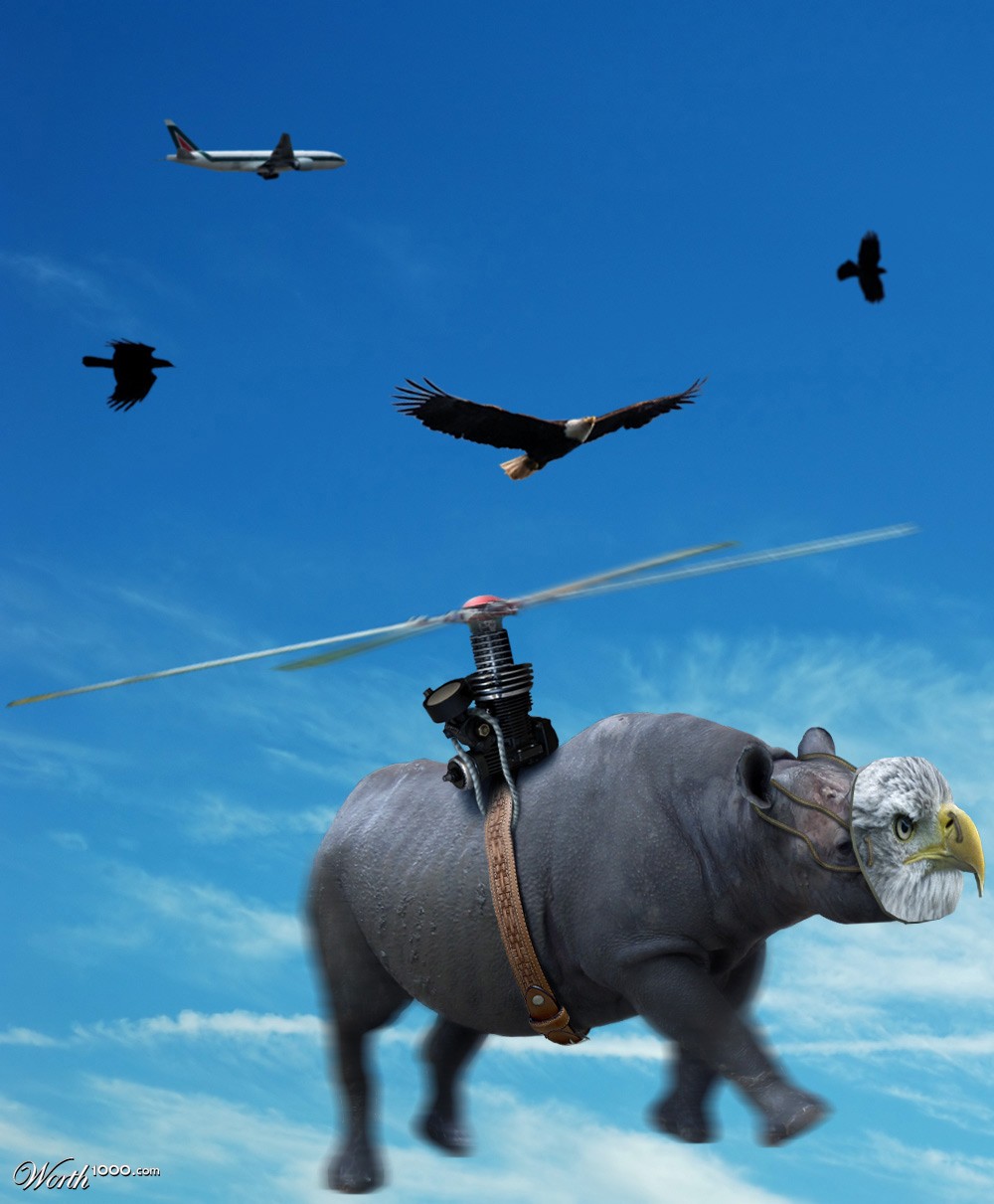 Eagle Wannabe
