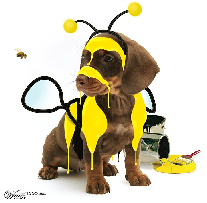Bee Wannabe