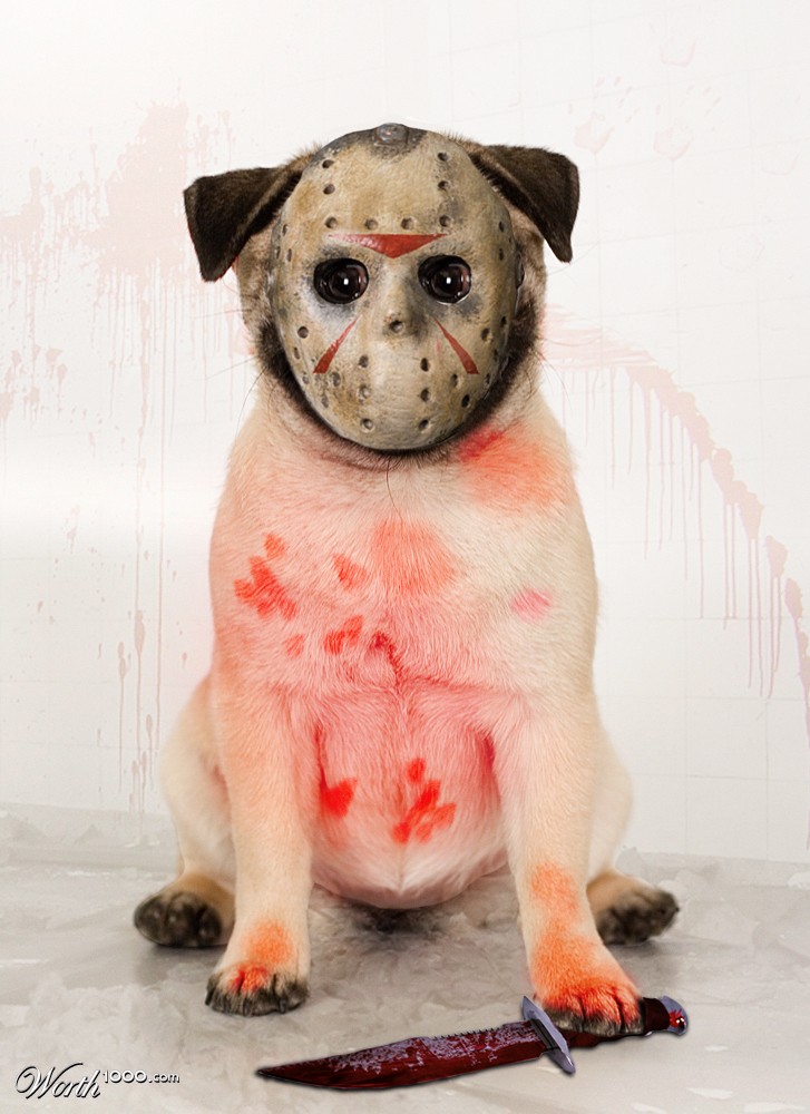 jason's Dog
