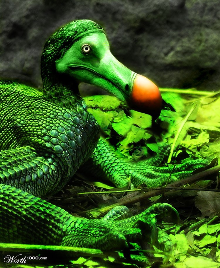 Dodosaur