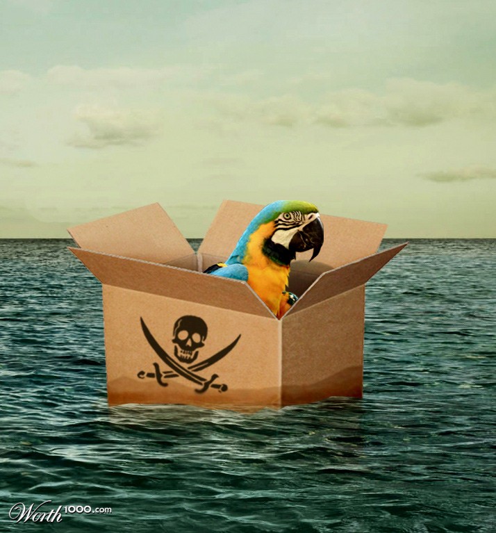 Insanity pirate