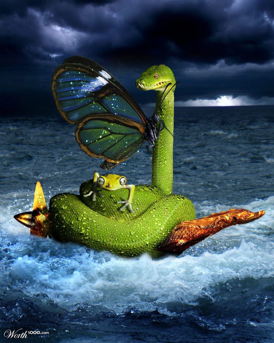 Snake Boat