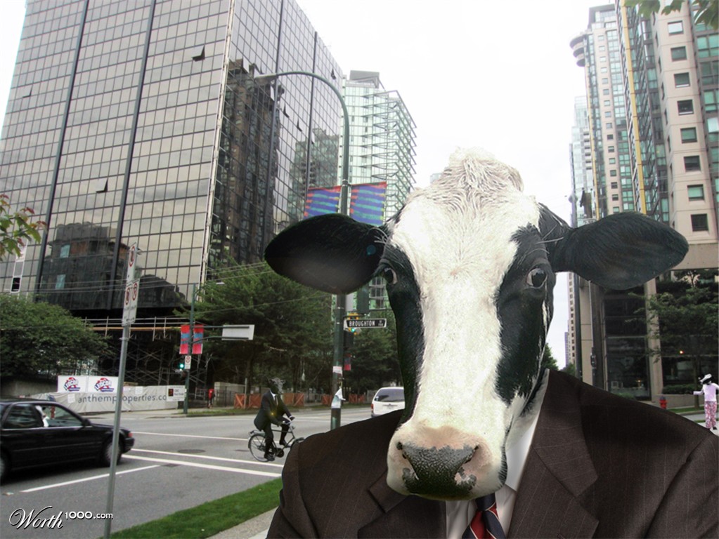 Cow Town