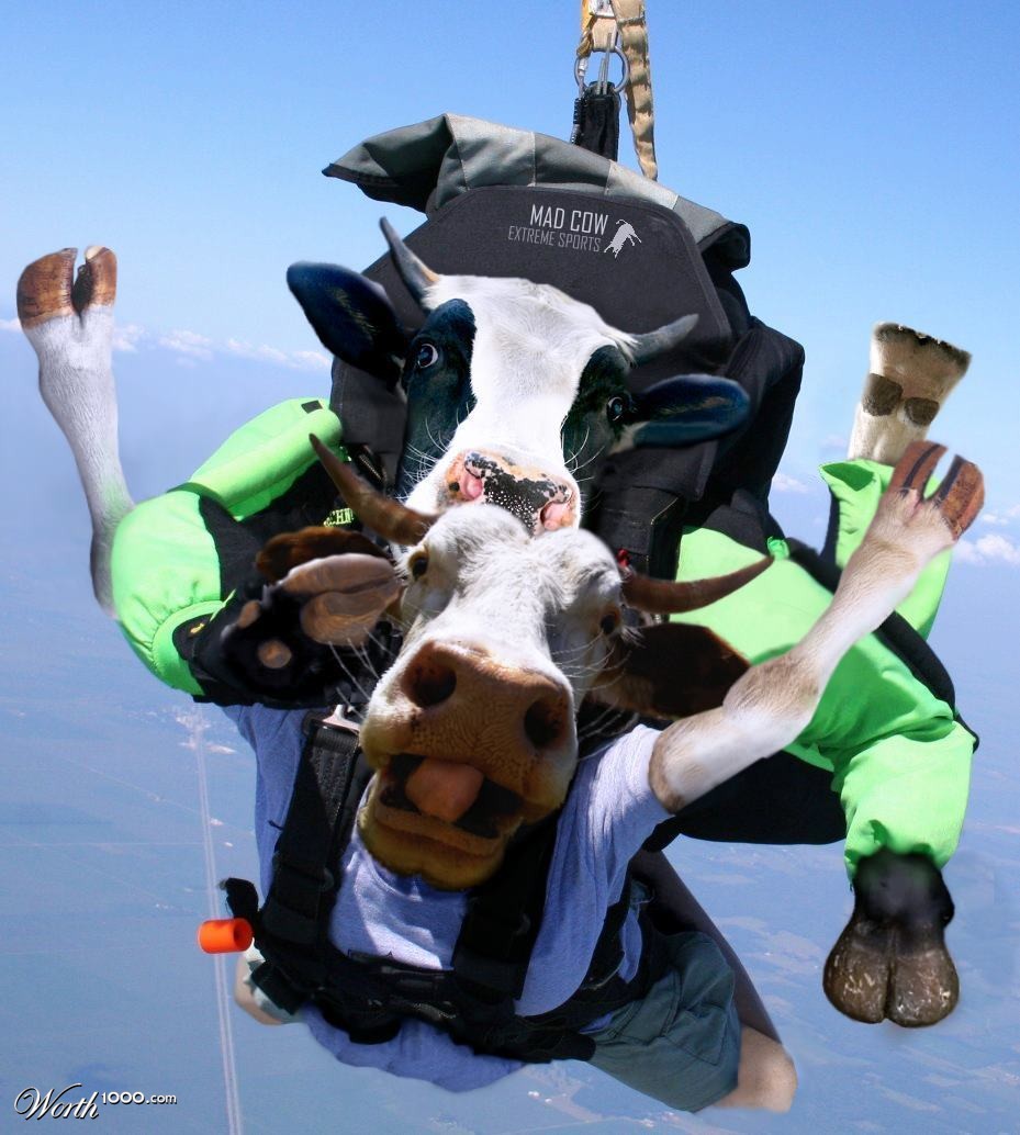 Cowabunga!!