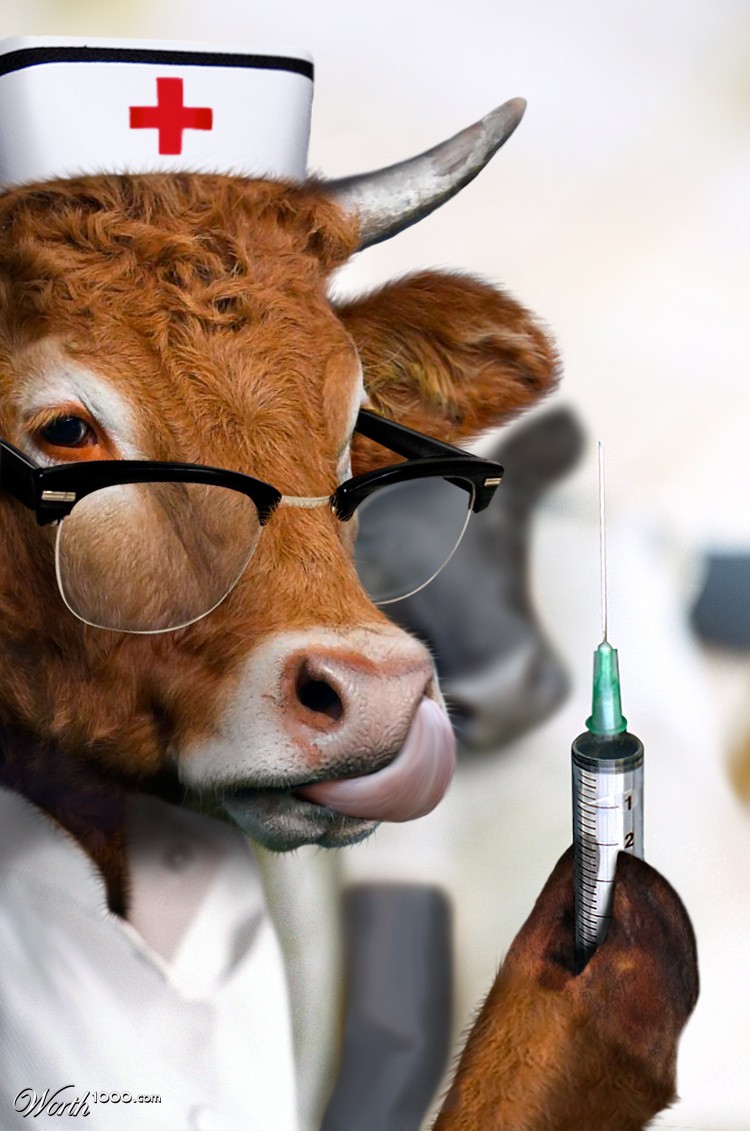Vaccination Time