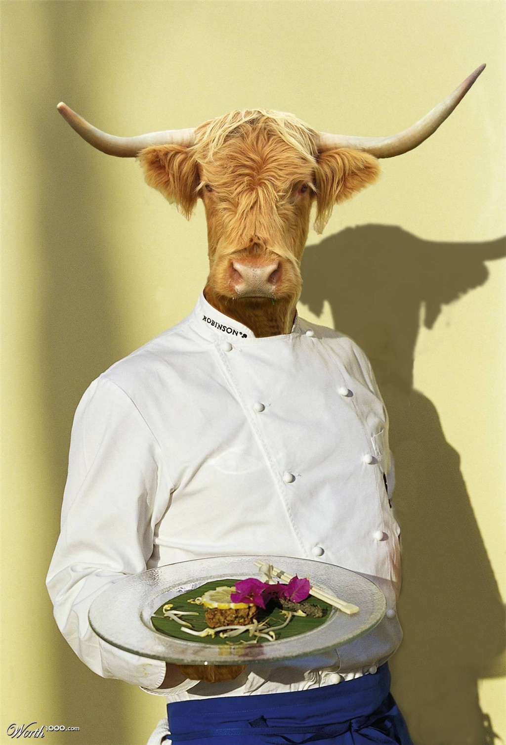 Cooking cow