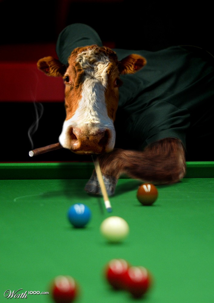 Pool Bull