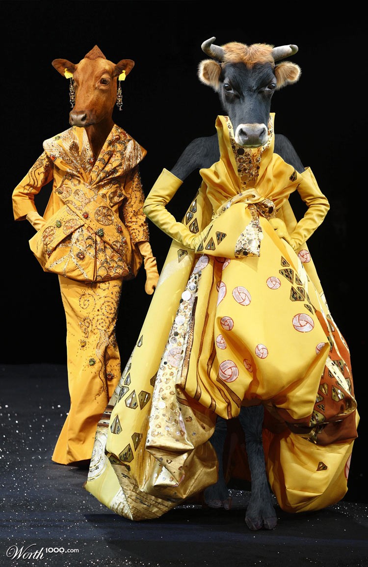 Haute Cowture