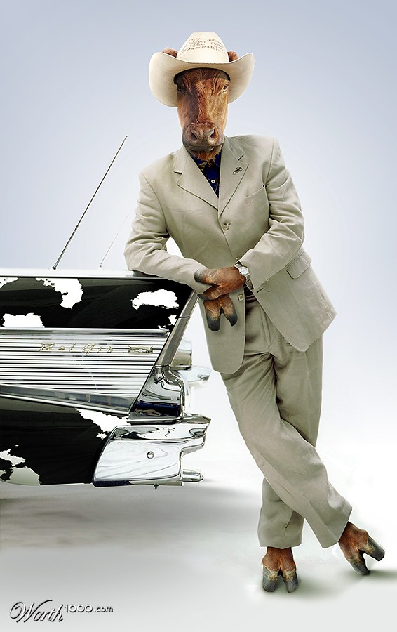 Car dealer in Cowville